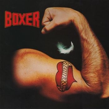 Boxer - Absolutely ryhmässä CD / Myydyimmät @ Bengans Skivbutik AB (1539797)