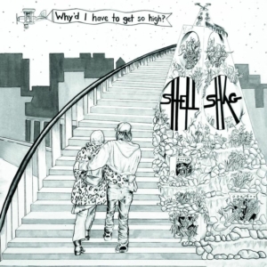 Shellshag - Why'd I Have To Get So High? ryhmässä VINYYLI @ Bengans Skivbutik AB (1541534)