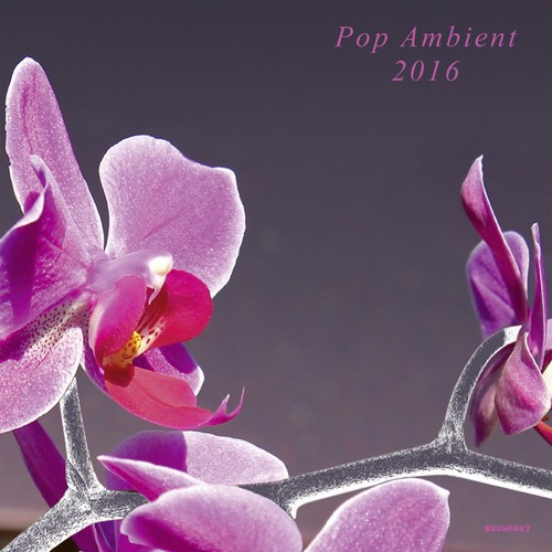 Blandade Artister - Pop Ambient 2016 (Inkl.Cd) ryhmässä VINYYLI / Myydyimmät @ Bengans Skivbutik AB (1551737)