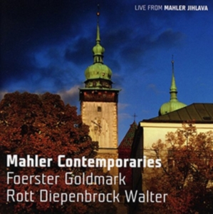 Foerster / Goldmark / Rott - Mahler Contemporaries ryhmässä CD @ Bengans Skivbutik AB (1555171)