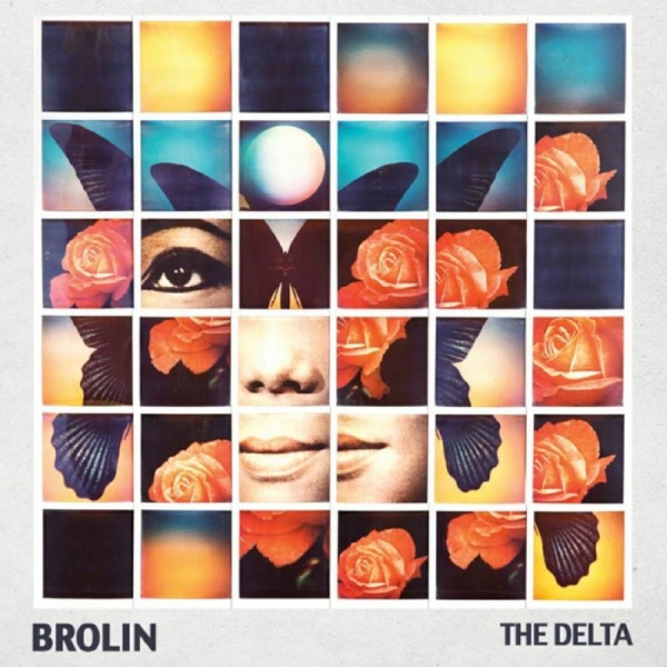 Brolin - Delta ryhmässä VINYYLI / Rock @ Bengans Skivbutik AB (1703956)