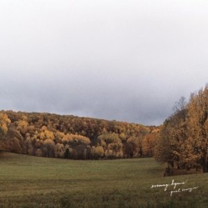 Evening Hymns - Quiet Energies ryhmässä CD @ Bengans Skivbutik AB (1705274)