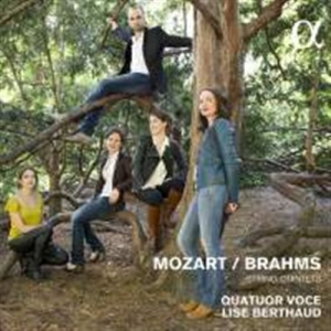 Brahms Johannes / Mozart W A - String Quintets ryhmässä CD @ Bengans Skivbutik AB (1712664)