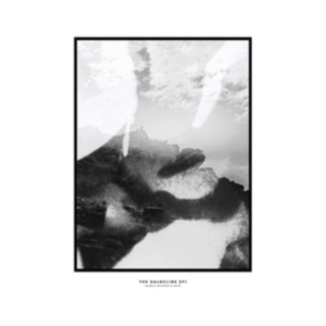 Hippo Campus - Halocline Eps ryhmässä CD @ Bengans Skivbutik AB (1713355)