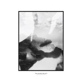 Hippo Campus - Halocline Eps ryhmässä CD / Myydyimmät @ Bengans Skivbutik AB (1713355)