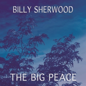 Sherwood Billy - Big Peace ryhmässä CD / Pop-Rock @ Bengans Skivbutik AB (1735144)