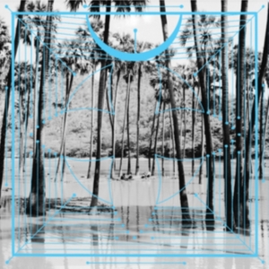 FOUR TET - PINK ryhmässä CRM - Experimentell elektronisk musik @ Bengans Skivbutik AB (1735586)