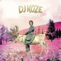 Dj Koze - Amygdala ryhmässä ME SUOSITTELEMME / Way Out West 2026 @ Bengans Skivbutik AB (1796923)