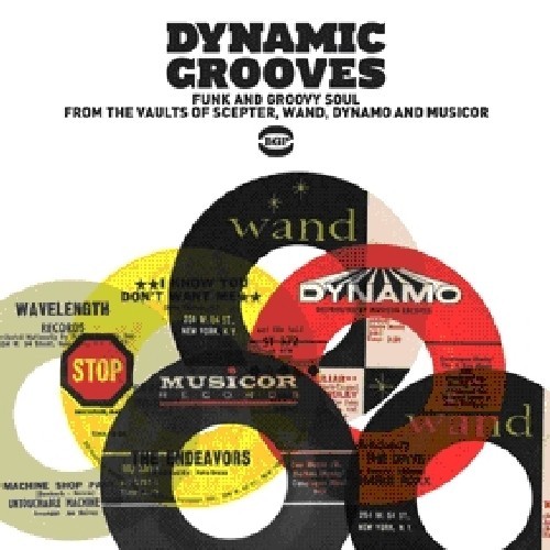 Various Artists - Dynamic Grooves ryhmässä CD / RNB, Disco & Soul @ Bengans Skivbutik AB (1810504)