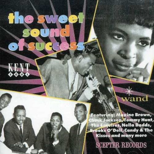 Various Artists - Sweet Sound Of Success ryhmässä CD / Myydyimmät @ Bengans Skivbutik AB (1811128)