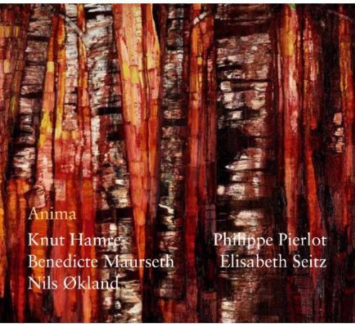 Maurseth Benedicte/Knut Hamre/Nilsö - Anima ryhmässä CD / Myydyimmät @ Bengans Skivbutik AB (1812395)