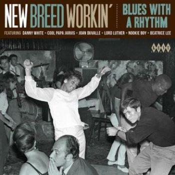 Various Artists - New Breed Workin'Blues With A Rhyt ryhmässä CD / Myydyimmät @ Bengans Skivbutik AB (1817894)