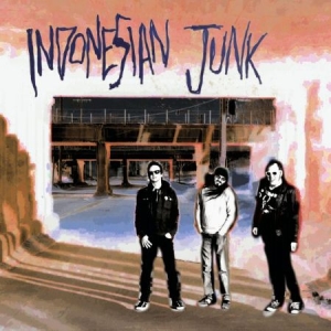 Indonesian Junk - Indonesian Junk ryhmässä CD @ Bengans Skivbutik AB (1832116)