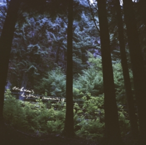 Stein & Mari - Stein & Mari's Daydream Community E ryhmässä CD @ Bengans Skivbutik AB (1836719)