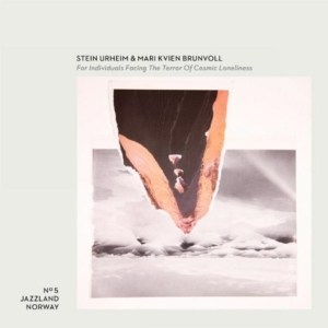 Stein & Mari - For Individuals Facing The Terror O ryhmässä VINYYLI @ Bengans Skivbutik AB (1836754)