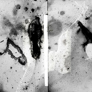 Certain Creatures - Vipassana ryhmässä VINYYLI @ Bengans Skivbutik AB (1842334)