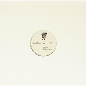 Archie Pelago - Hall Of Human Origins ryhmässä VINYYLI @ Bengans Skivbutik AB (1842418)