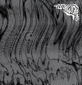 Hookworms - Hookworms ryhmässä CD @ Bengans Skivbutik AB (1842439)