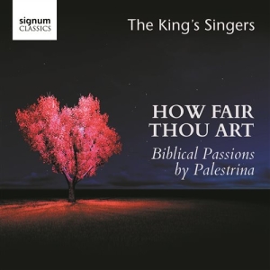 Palestrina Giovanni Pierluigi Da - How Fair Thou Art ryhmässä CD @ Bengans Skivbutik AB (1847540)
