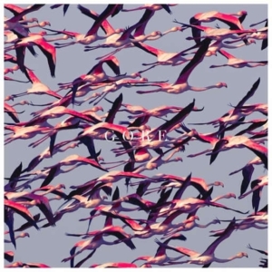 Deftones - Gore (Vinyl Ltd.) ryhmässä VINYYLI @ Bengans Skivbutik AB (1877202)