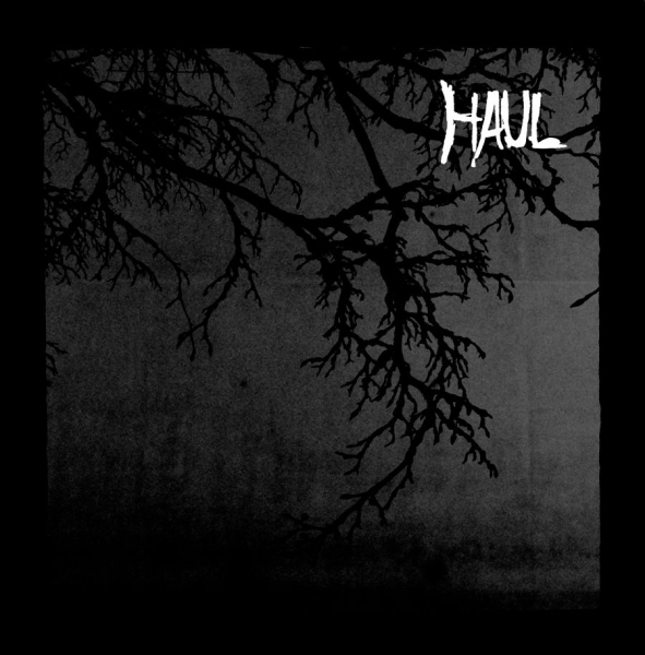 Haul - Seperation ryhmässä VINYYLI / Myydyimmät @ Bengans Skivbutik AB (1878761)