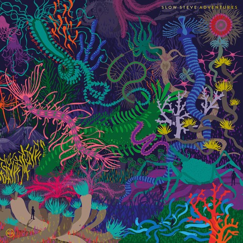 Slow Steve - Adventures ryhmässä VINYYLI / Rock @ Bengans Skivbutik AB (1883845)