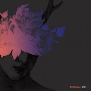 Jambinai - A Hermitage ryhmässä CD @ Bengans Skivbutik AB (1891041)