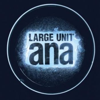 Large Unit - Ana ryhmässä CD / Jazz/Blues @ Bengans Skivbutik AB (1908179)