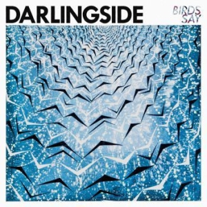 Darlingside - Birds Say ryhmässä CD @ Bengans Skivbutik AB (1951418)