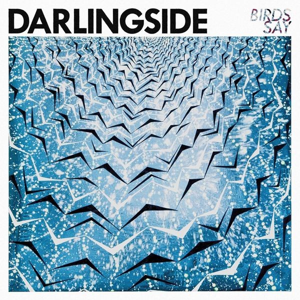 Darlingside - Birds Say ryhmässä CD / Pop @ Bengans Skivbutik AB (1951418)