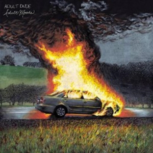 Adult Dude - Adult Moods ryhmässä VINYYLI @ Bengans Skivbutik AB (1968533)