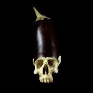 Dean Gensu & Denmark Vessey - Whole Food ryhmässä CD @ Bengans Skivbutik AB (1993111)
