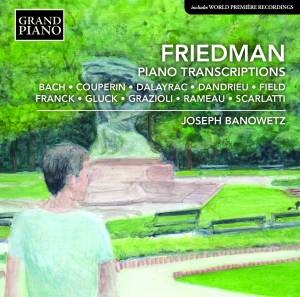 Friedman Ignaz - Piano Transcriptions ryhmässä CD @ Bengans Skivbutik AB (2003516)