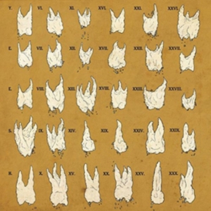 Yeesh - Confirmation Bias ryhmässä CD @ Bengans Skivbutik AB (2004746)