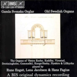 Various - Old Swedish Orgs ryhmässä CD @ Bengans Skivbutik AB (2006642)