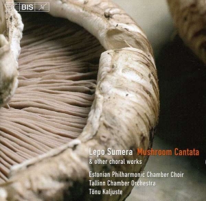 Sumera - Choir Music ryhmässä CD @ Bengans Skivbutik AB (2006696)