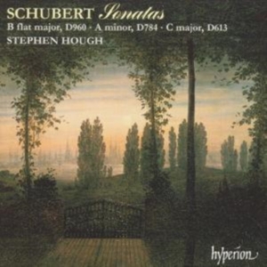 Schubert Franz - Piano Sonatas D 960, 784 & 613 ryhmässä CD @ Bengans Skivbutik AB (2007806)