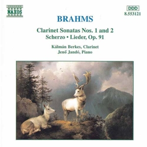Brahms Johannes - Sonatas For Clarinet & Piano ryhmässä CD @ Bengans Skivbutik AB (2009387)