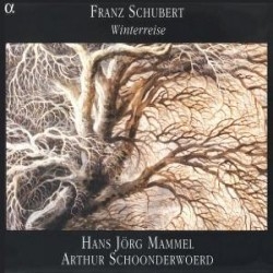 Schubert - Winterreise Opus 89, D911 ryhmässä CD @ Bengans Skivbutik AB (2010155)