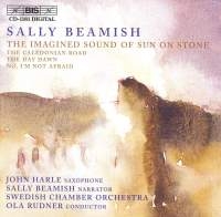 Beamish Sally - Imagined Sound Of Sun. ryhmässä CD @ Bengans Skivbutik AB (2010687)
