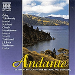 Various - Andante ryhmässä CD @ Bengans Skivbutik AB (2010832)