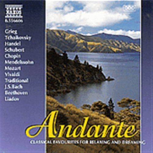 Various - Andante ryhmässä CD @ Bengans Skivbutik AB (2010832)