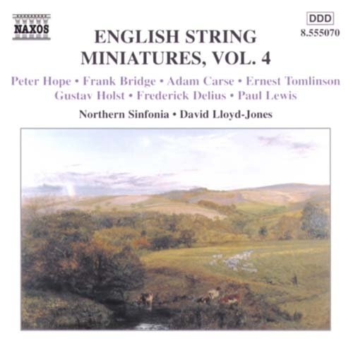 Various - Eng String Miniatures 4 ryhmässä CD @ Bengans Skivbutik AB (2010865)