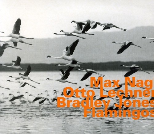 Nagl Max - Lechner/Jones/ Flamingos ryhmässä CD / Jazz/Blues @ Bengans Skivbutik AB (2011276)