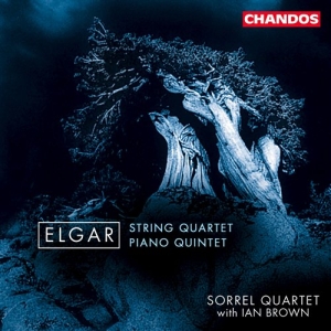 Elgar - String Quartet And Piano Quint ryhmässä CD @ Bengans Skivbutik AB (2013368)