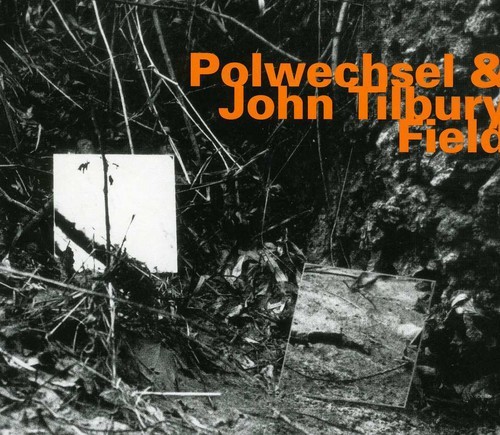 Polwechsel & John Tilbury - Field ryhmässä CD / Jazz/Blues @ Bengans Skivbutik AB (2014560)