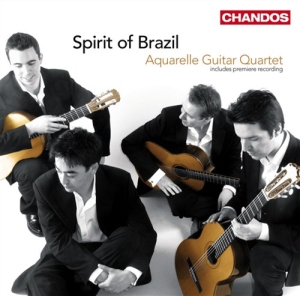 Various Composers - Spirit Of Brazil ryhmässä CD @ Bengans Skivbutik AB (2014764)