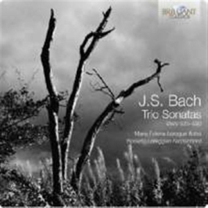 Bach - Trio Sonatas ryhmässä CD @ Bengans Skivbutik AB (2016186)