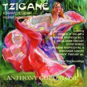 Various - Tzigane ryhmässä CD @ Bengans Skivbutik AB (2016595)
