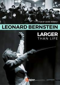 Various - Leonard Bernstein: Larger Than Life ryhmässä Externt_Lager / Naxoslager @ Bengans Skivbutik AB (2037316)